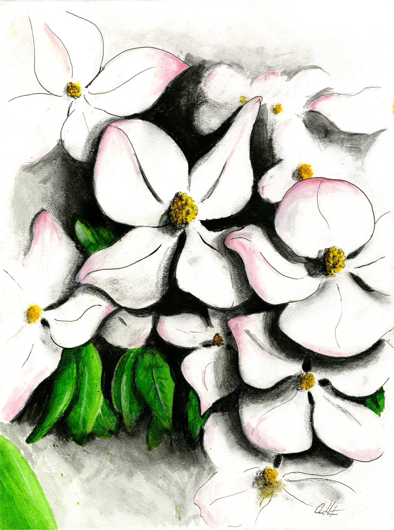 White dogwood blossoms with yellow centres against a charcoal ground.